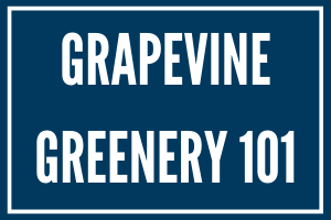 Grapevine Greenery 101