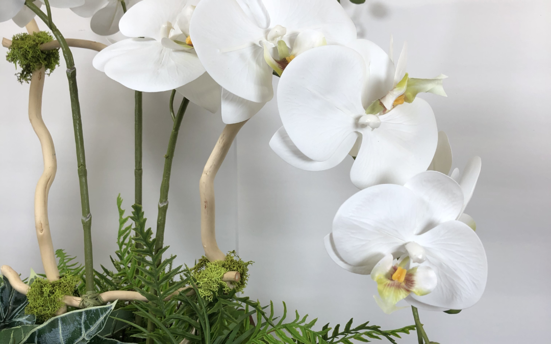 5.3.21 Orchid Arrangement – Jordan (REPLAY)