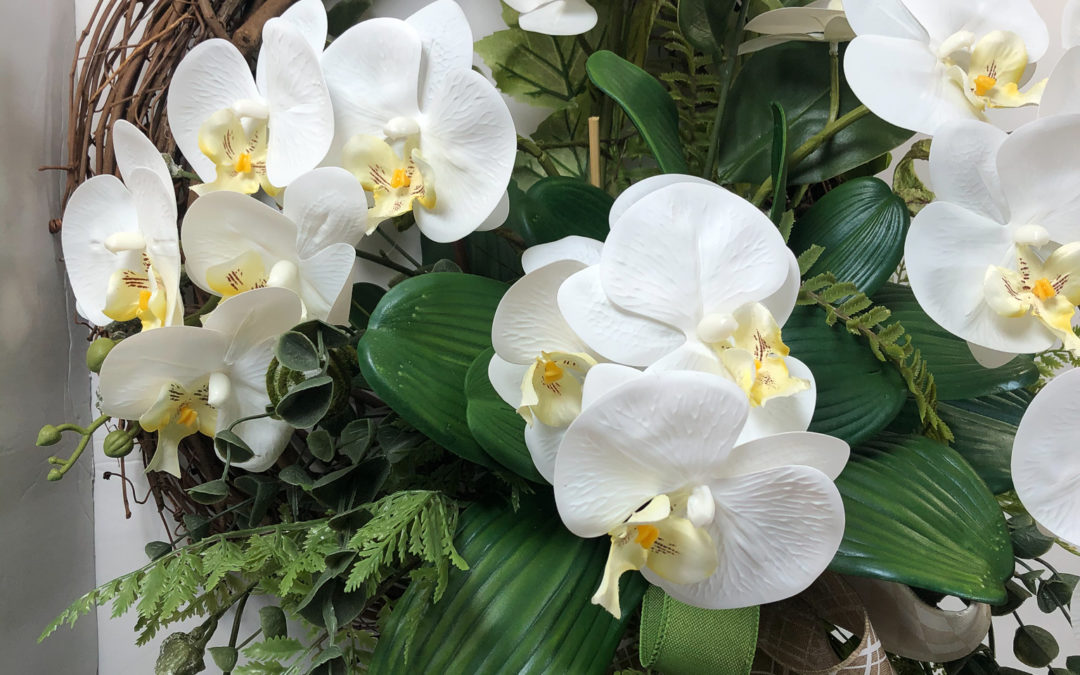 4.5.21 Orchid Grapevine – Jordan (REPLAY)