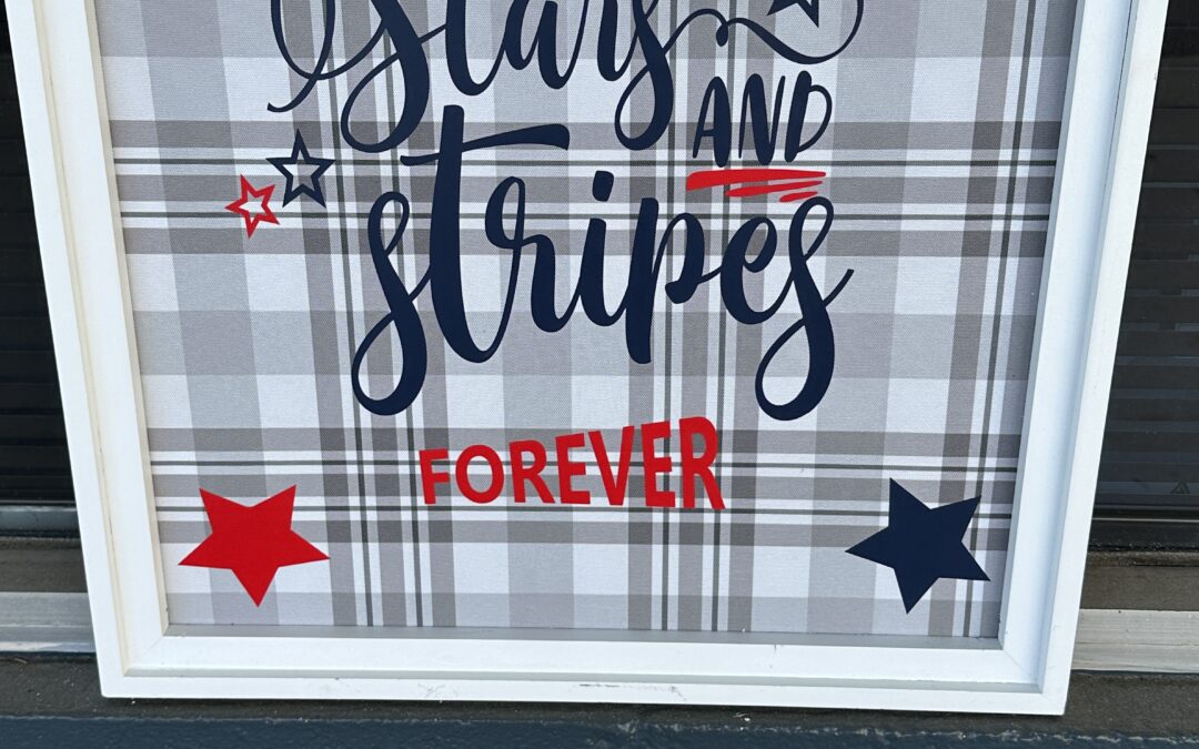 Cricut Monthly Project- Tammy – REPLAY