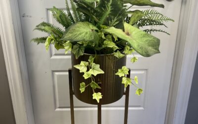 Greenery Only Garden Container Arrangement – Stacy